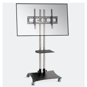 Screen and projector stands & mounts