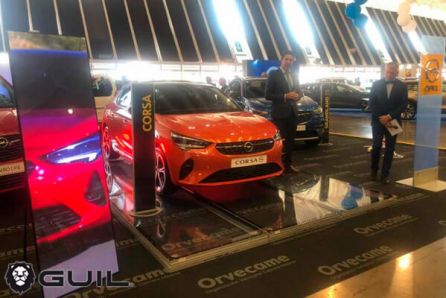 Tarima-transparente (2)