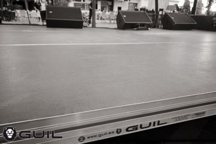 Escenario-profesional